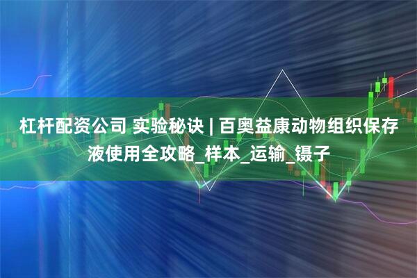 杠杆配资公司 实验秘诀 | 百奥益康动物组织保存液使用全攻略_样本_运输_镊子